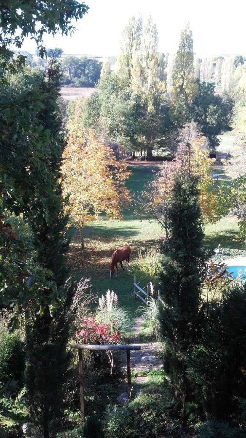 Le Peyrail Bed & Breakfast Les Lèves-et-Thoumeyragues Dış mekan fotoğraf